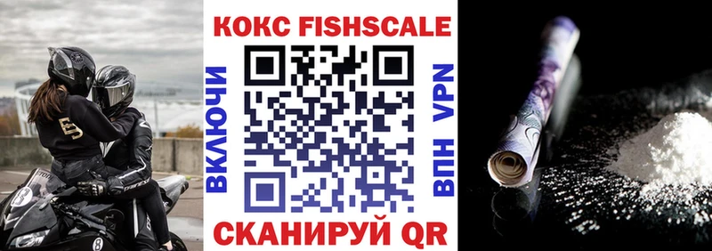Купить закладки  Себеж  Cocaine Fish Scale 