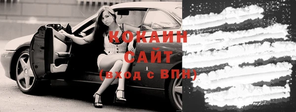 соль ск Алзамай
