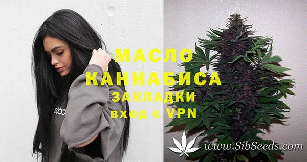 соль ск Алзамай
