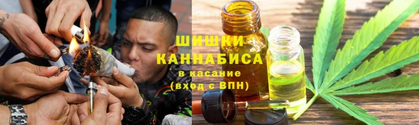 соль ск Алзамай
