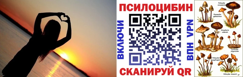 Галлюциногенные грибы Cubensis  Купить где  Себеж 